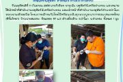 สำนักงานปศุสัตว์จังหวัดอ่างทองและสำนักงานปศุสัตว์อำเภอป่าโมกออกเจาะเลือดเป็ด โครงการเฝ้าระวังโรคไข้หวัดนกเชิงรุกแบบบูรณาการของประเทศไทย (ซีรั่มวิทยา)