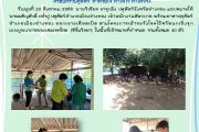 สำนักงานปศุสัตว์อำเภอเมืองอ่างทองออกเจาะเลือดเป็ด ในโครงการเฝ้าระวังโรคไข้หวัดนกเชิงรุกแบบบูรณาการของประเทศไทย (ซีรั่มวิทยา)